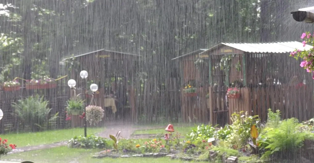 কবিতা লেখা যায়