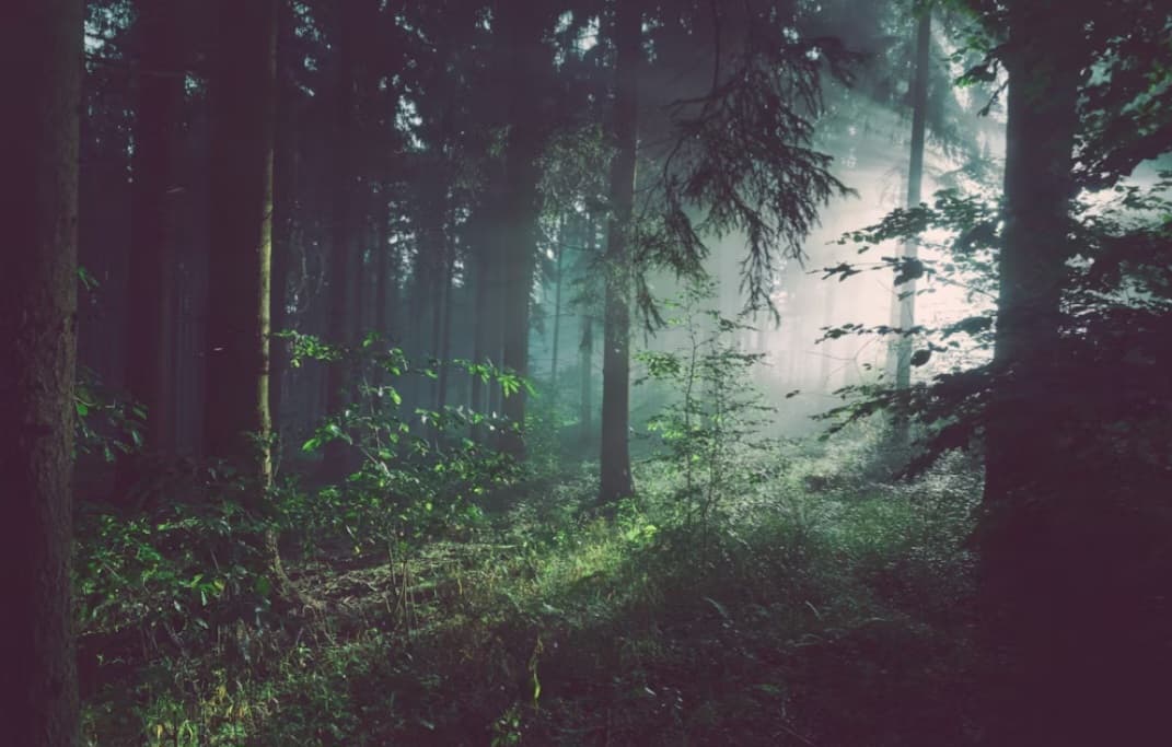 বেণু সরকারের দুটি কবিতা 