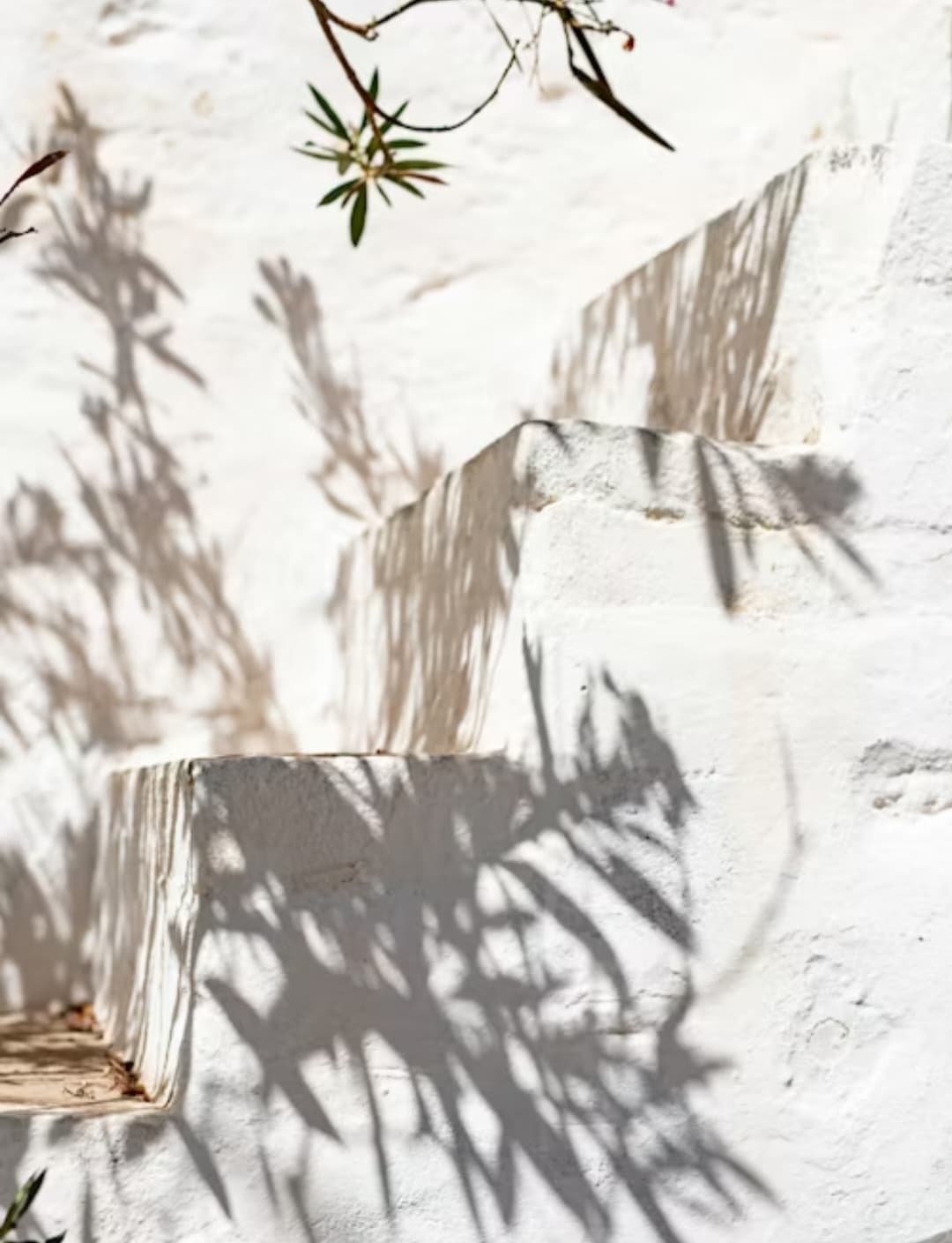 শৌভিক দত্তের দুটি কবিতা 