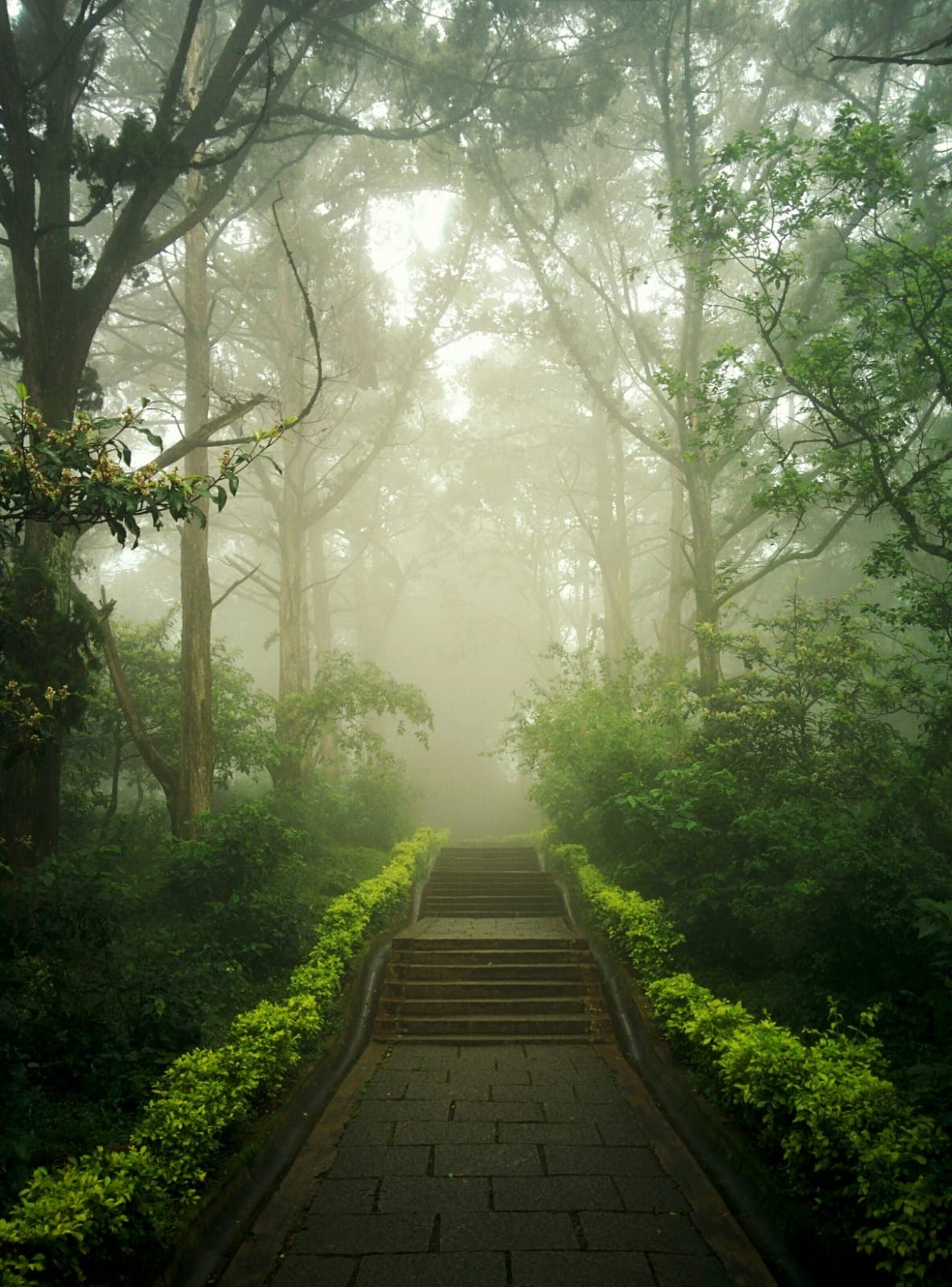 এক শীতের সকাল ও আমার মা
