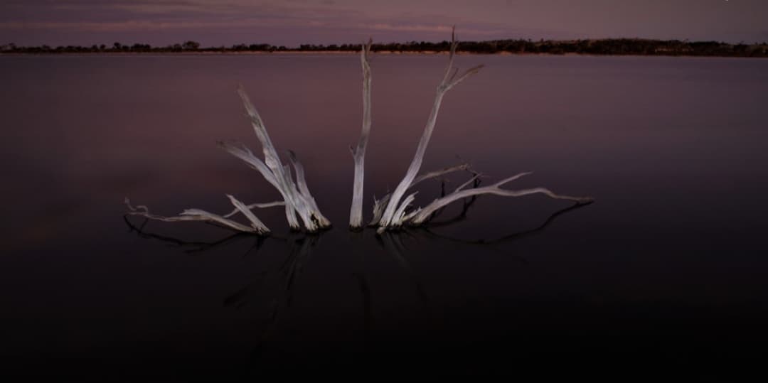 ইদন গুঙ্গি 