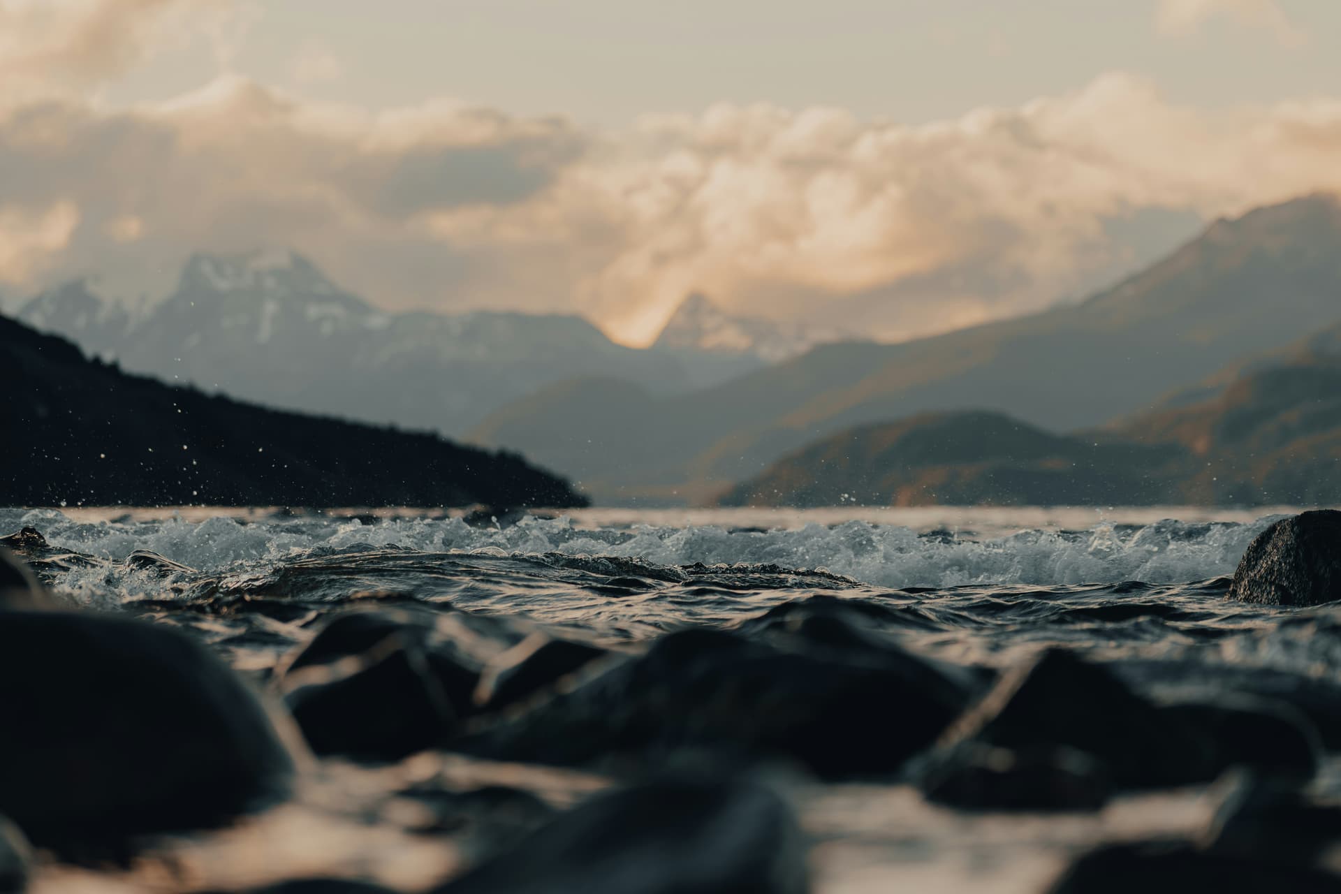 জ্যোতির্ময় বিশ্বাসের দুটি কবিতা