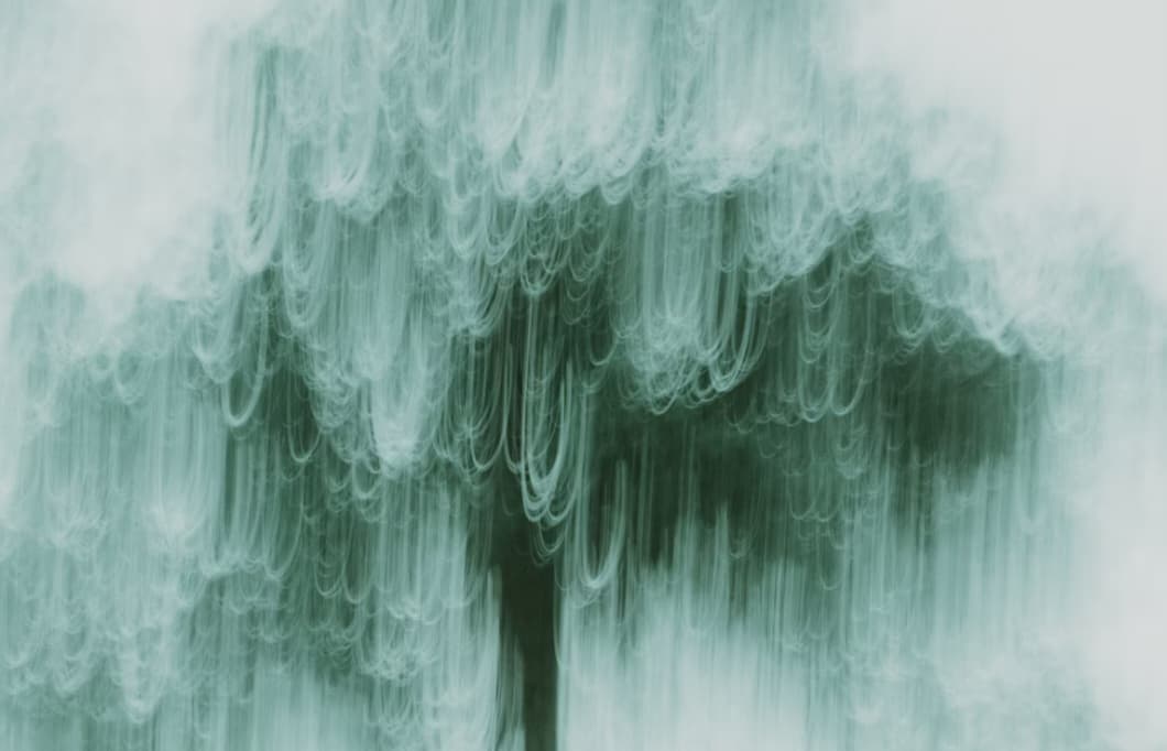 তানহিম আহমেদের দুটি কবিতা