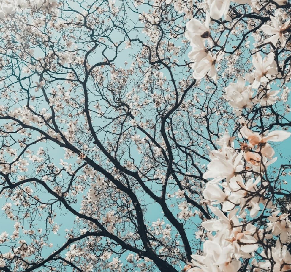 শুষ্কতার ক্লান্তি