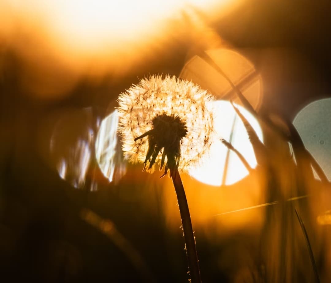 শতানীক রায়ের দুটি কবিতা