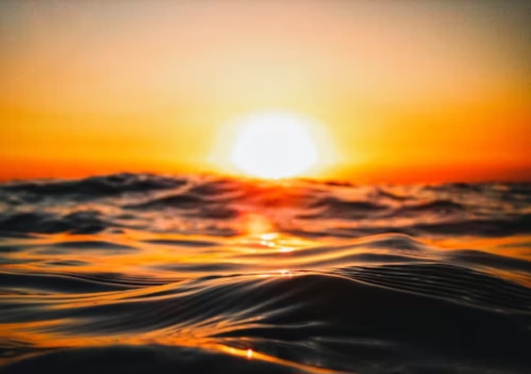 অর্ঘ্য রায় চৌধুরীর দুটি কবিতা