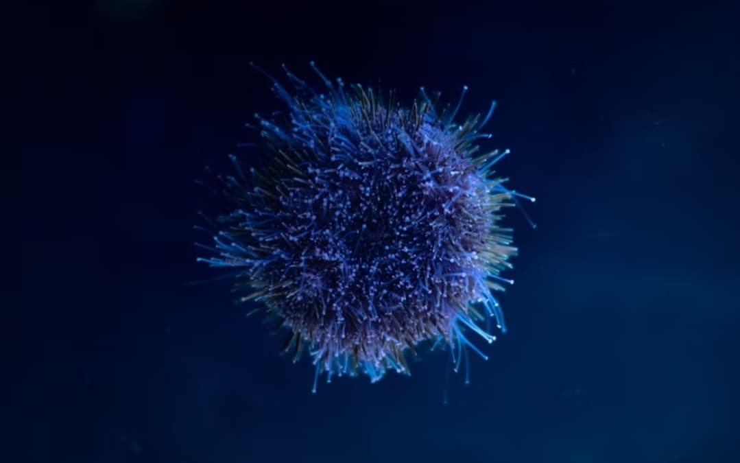 এমরান হাসানের দুটি কবিতা