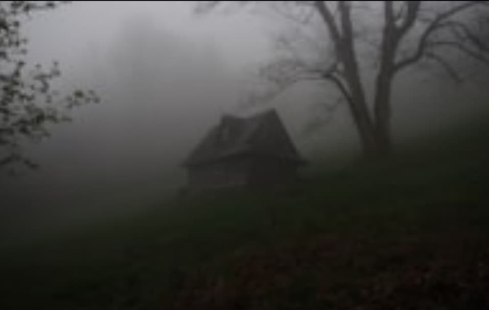 সবুজ শ্যাওলা