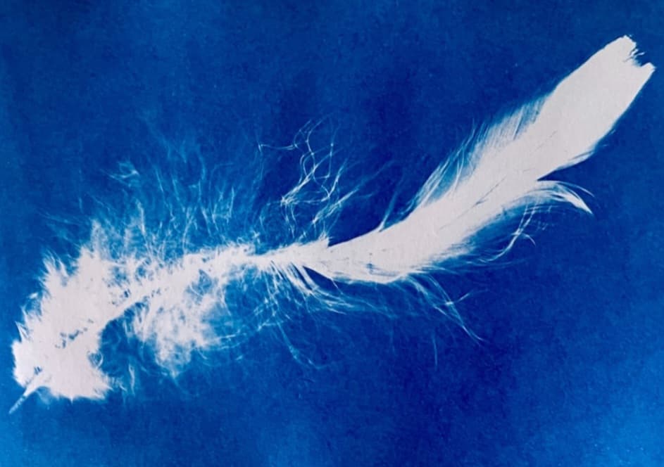 সঙ্গীতা মাইতির দুটি কবিতা