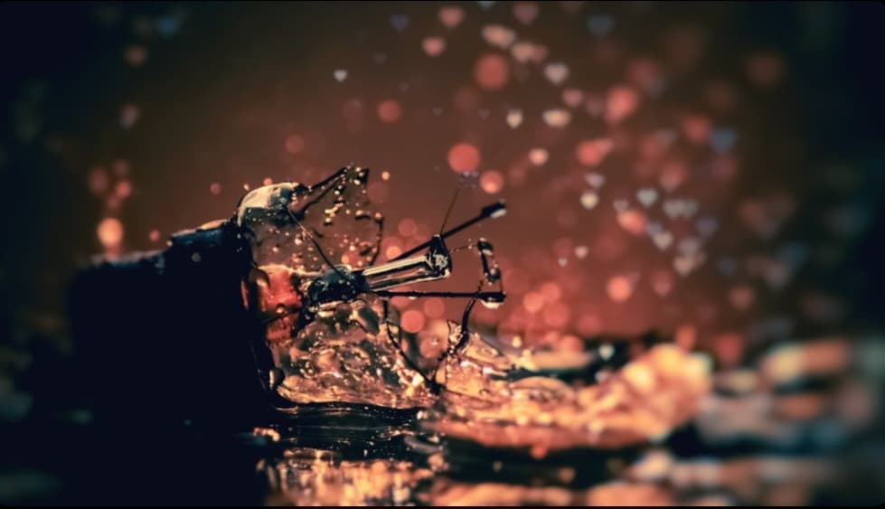 শ্রীমন্ত দাসের দুটি কবিতা