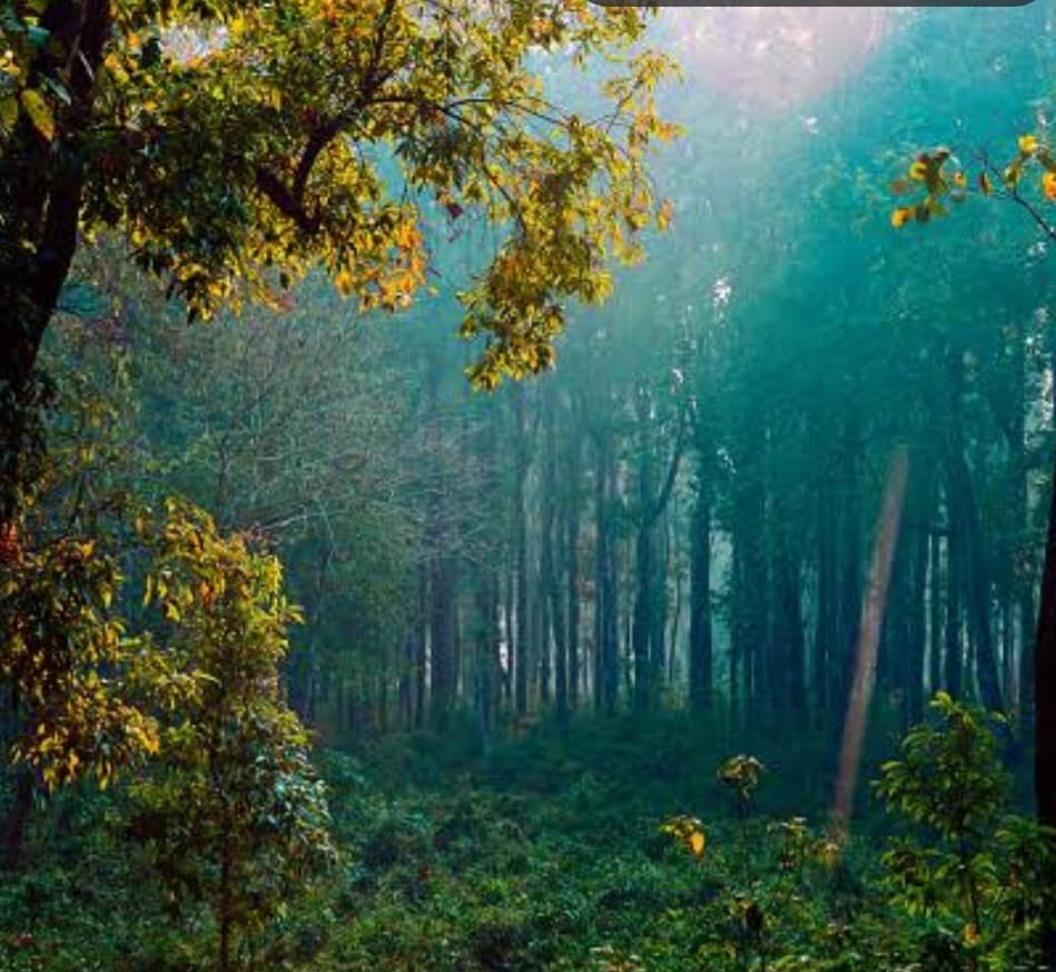 কালচিনির সুড়ঙ্গ