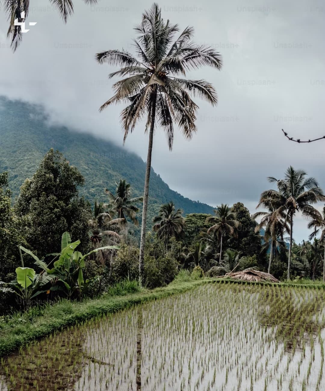 নিরুপায় গ্রাম