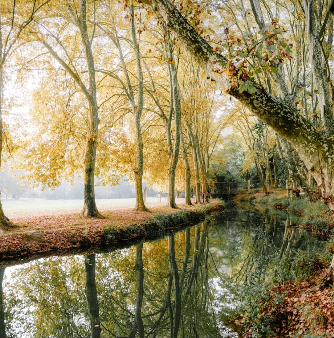 পুজোর আনন্দ